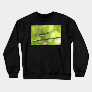 Walking The Plank Crewneck Sweatshirt